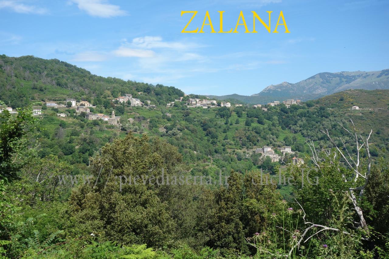 ZALANA